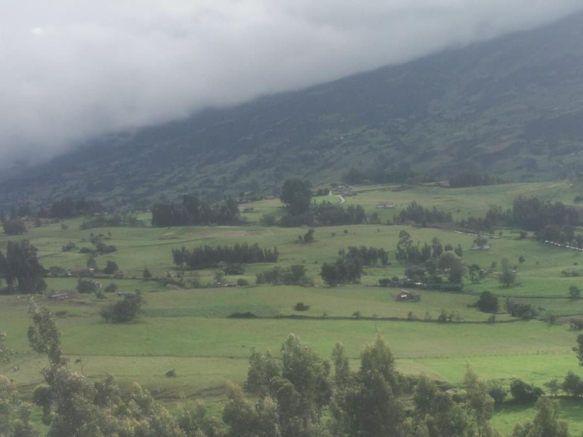 Farm stay Buenavista Campestre -