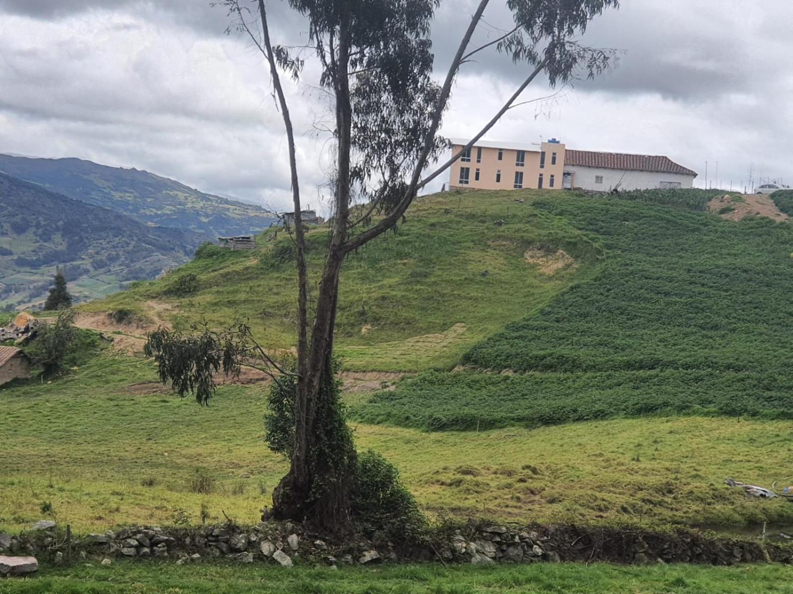 Buenavista Campestre - Farm stay *